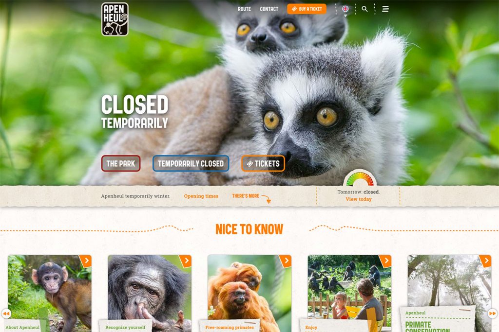 Picture of the author